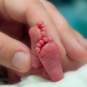 Meet your Posher, Tommy